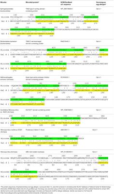 The PATHOGENesis of Food Allergy